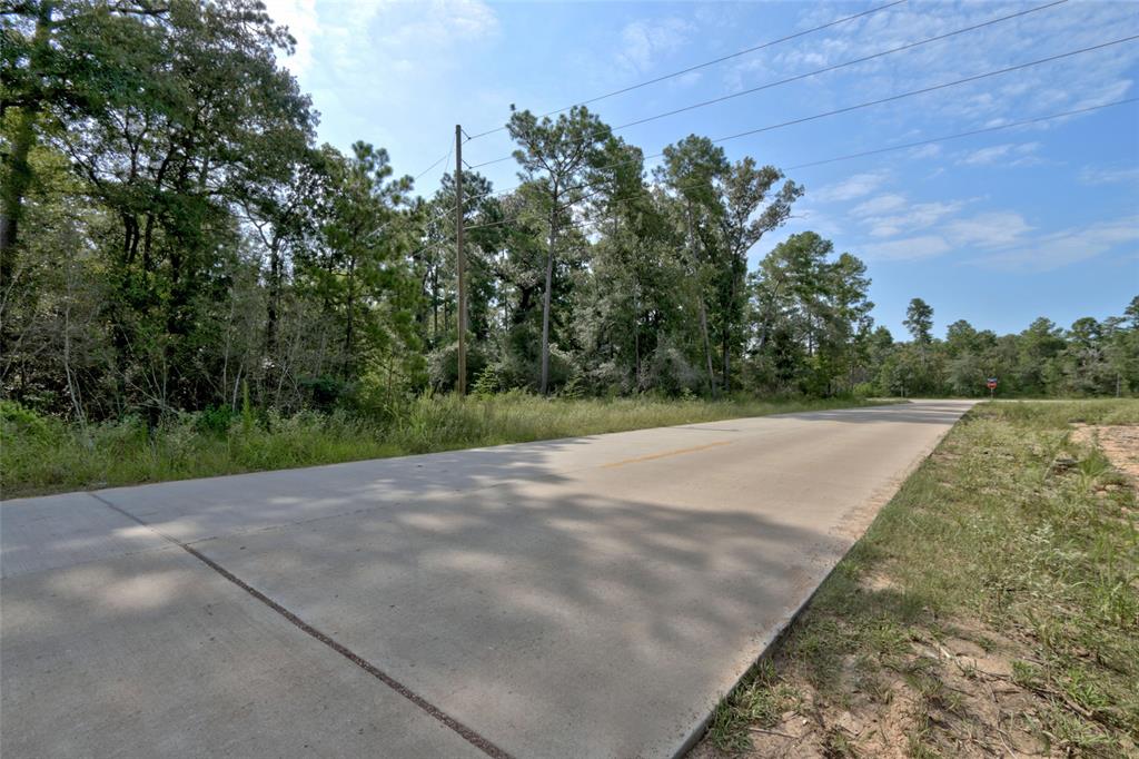 Lot On Hwy249 & Lot 3 & 6 Hwy 249 And Tawnyberry Lane, Plantersville, Texas image 14