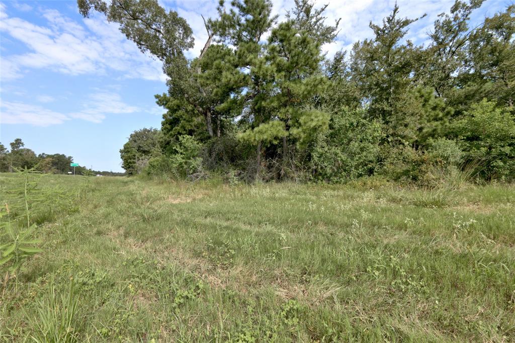 Lot On Hwy249 & Lot 3 & 6 Hwy 249 And Tawnyberry Lane, Plantersville, Texas image 13