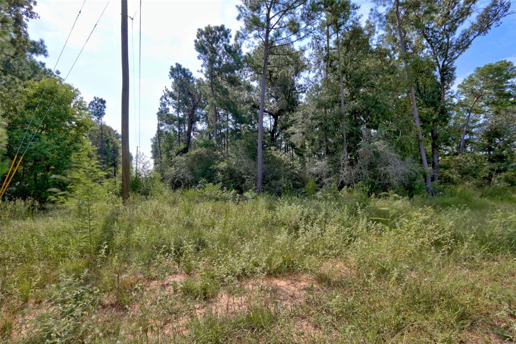 Lot On Hwy249 & Lot 3 & 6 Hwy 249 And Tawnyberry Lane, Plantersville, Texas image 15