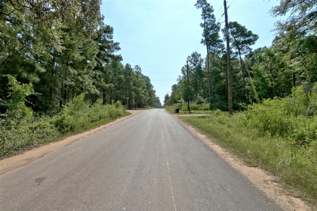 Lot On Hwy249 & Lot 3 & 6 Hwy 249 And Tawnyberry Lane, Plantersville, Texas image 19