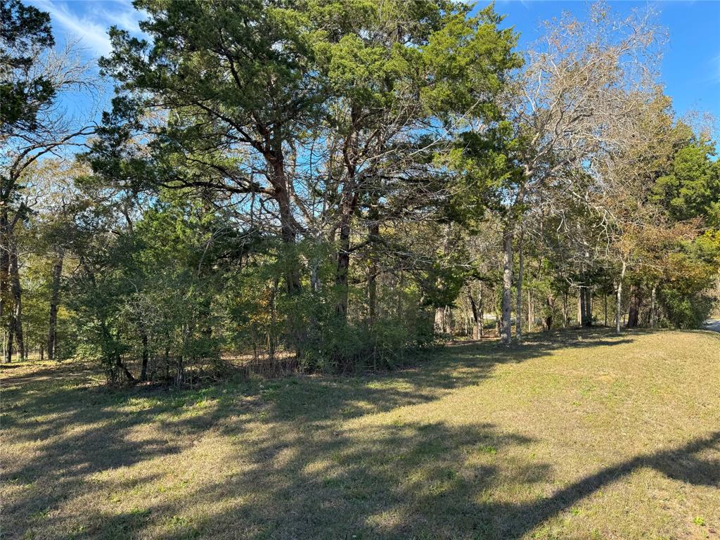 380 Cedar Valley Drive, Coldspring, Texas image 9