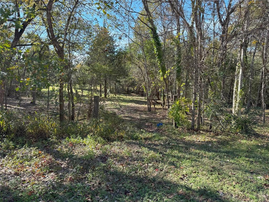 380 Cedar Valley Drive, Coldspring, Texas image 30