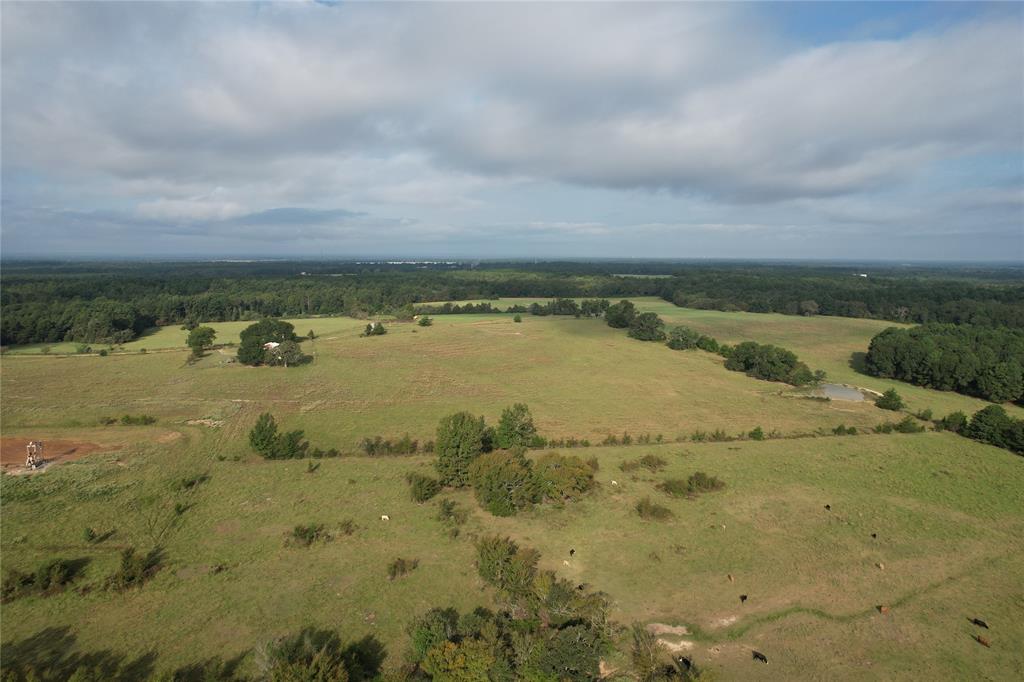 6952 Fm 1990, Palestine, Texas image 40