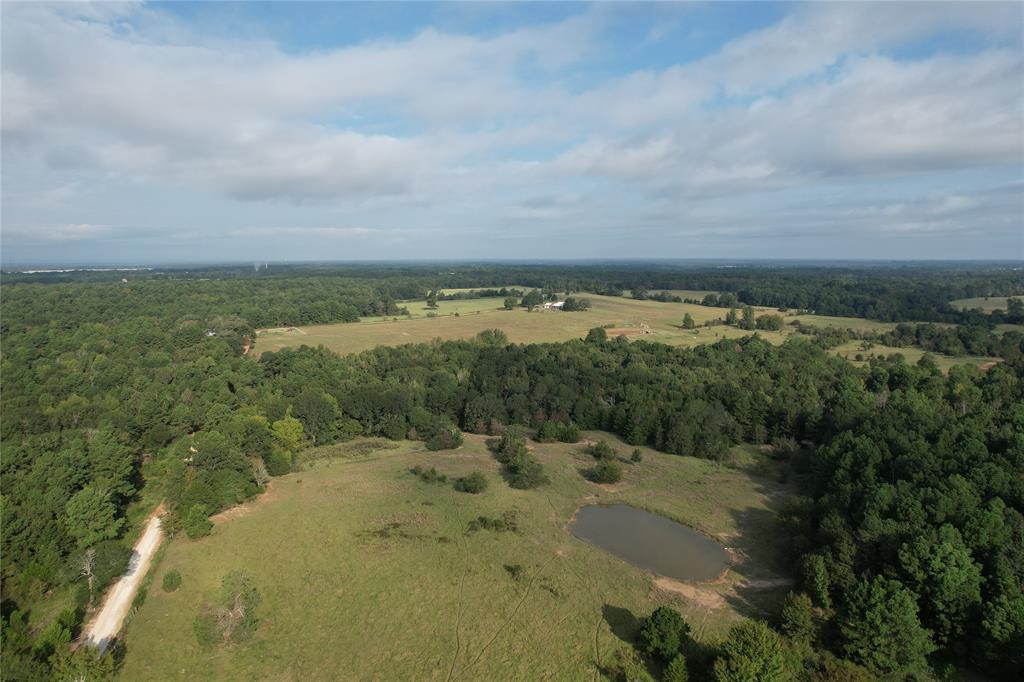 6952 Fm 1990, Palestine, Texas image 39