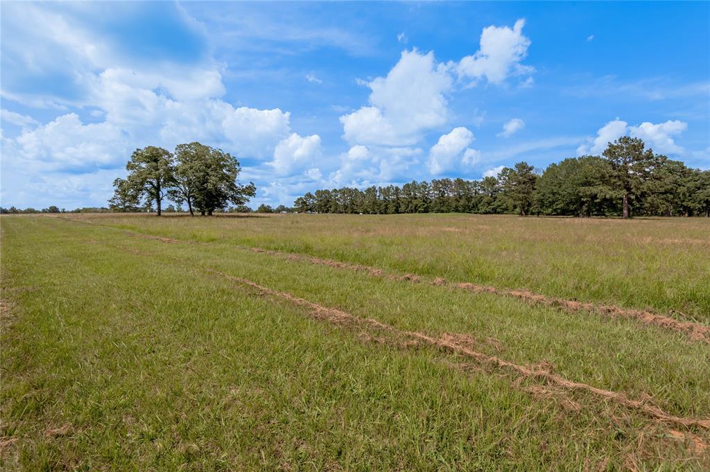 Lot 21 Atlanta Way, Trinity, Texas image 6