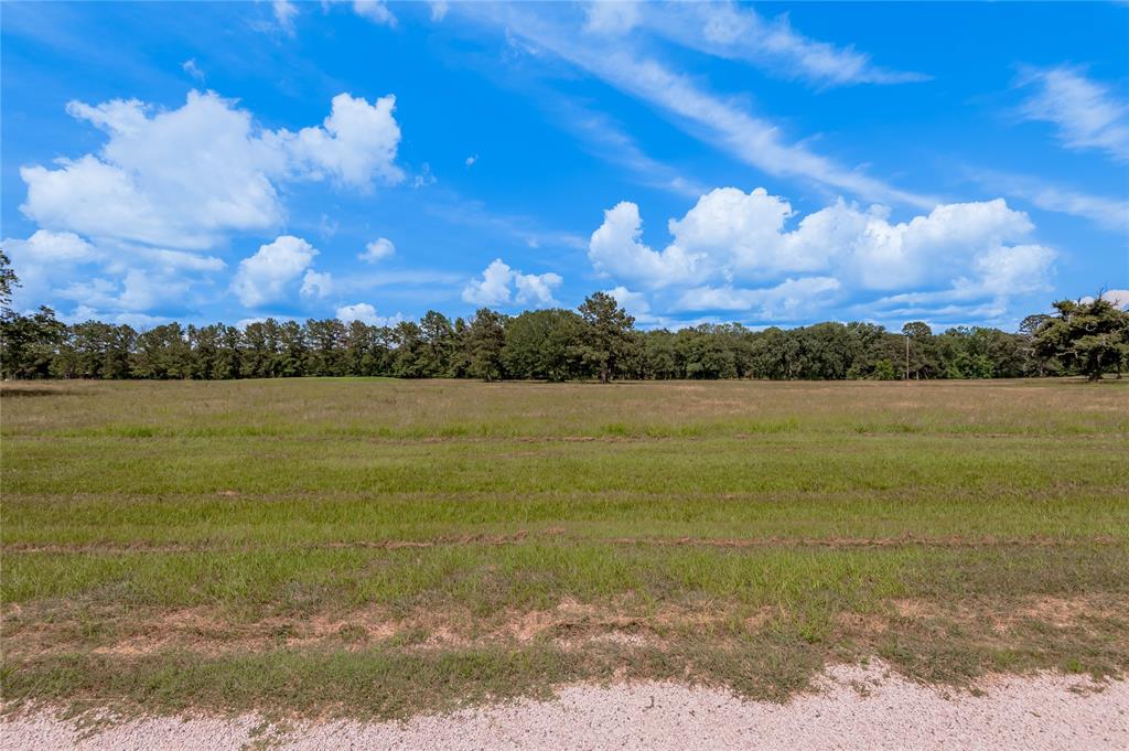 Lot 21 Atlanta Way, Trinity, Texas image 4