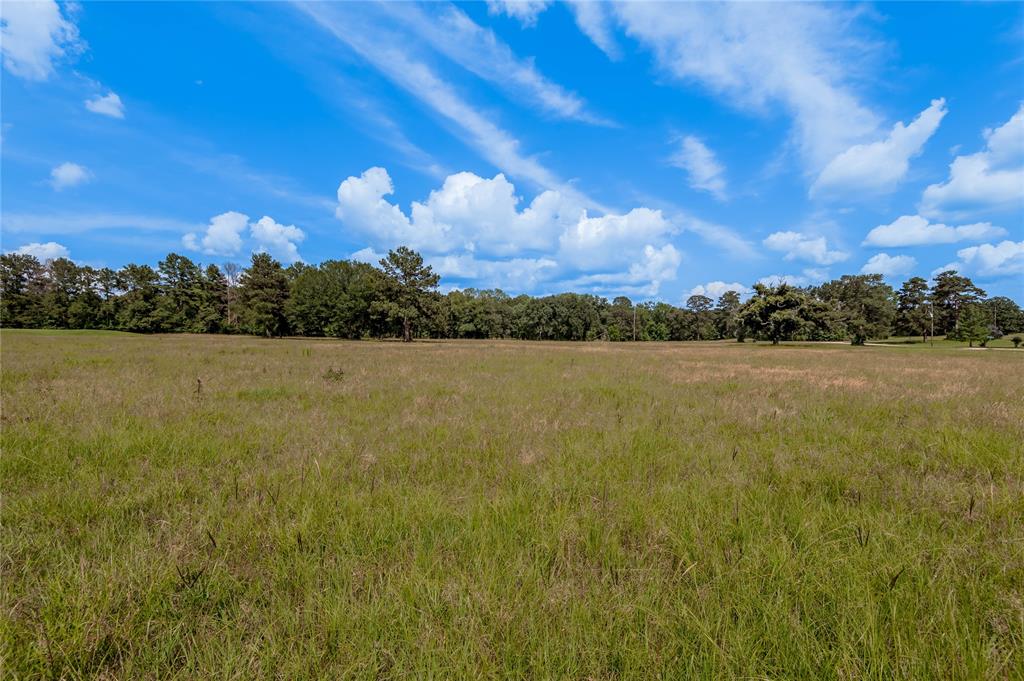 Lot 21 Atlanta Way, Trinity, Texas image 8