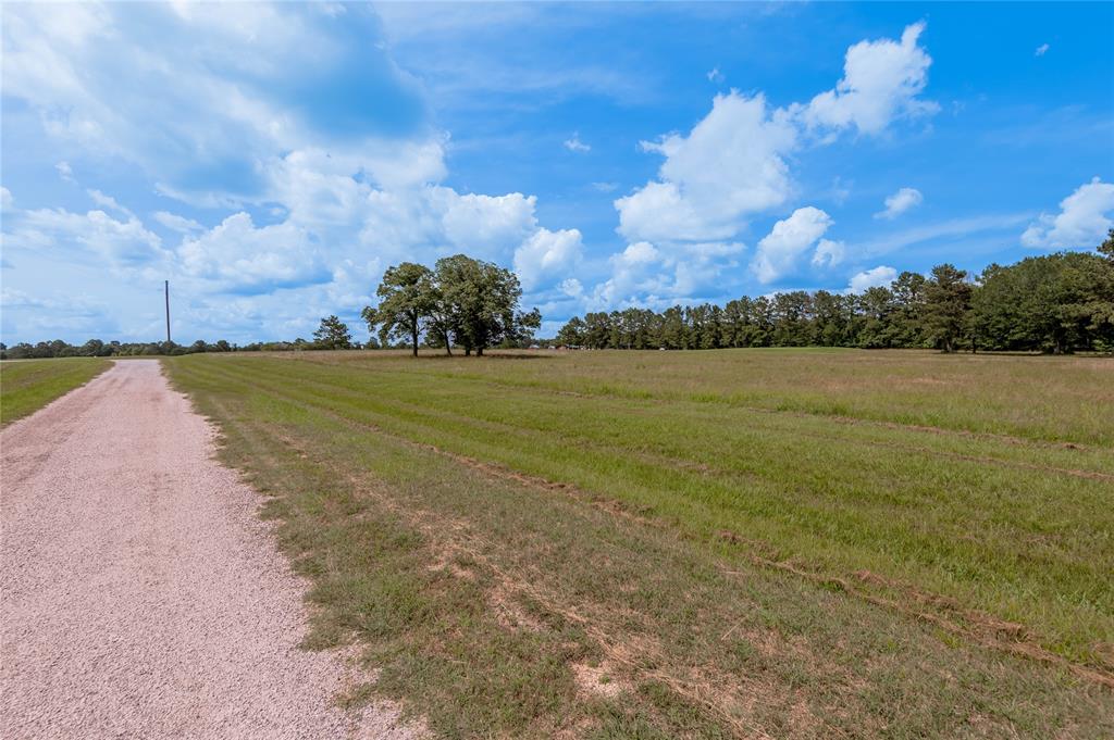 Lot 21 Atlanta Way, Trinity, Texas image 5