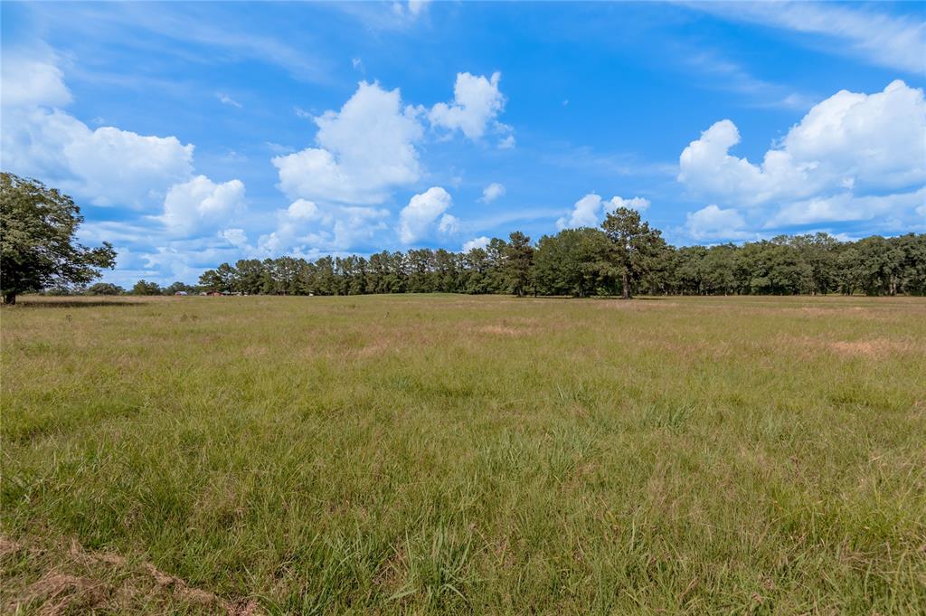 Lot 21 Atlanta Way, Trinity, Texas image 7