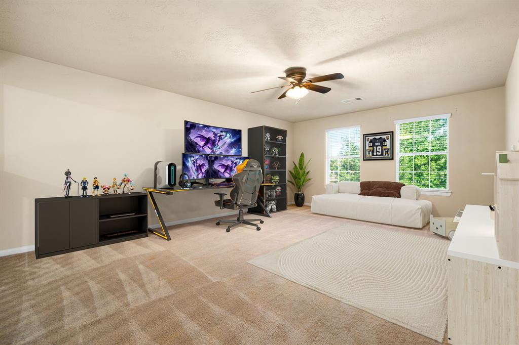 41 Blisten Spring Drive, Manvel, Texas image 20