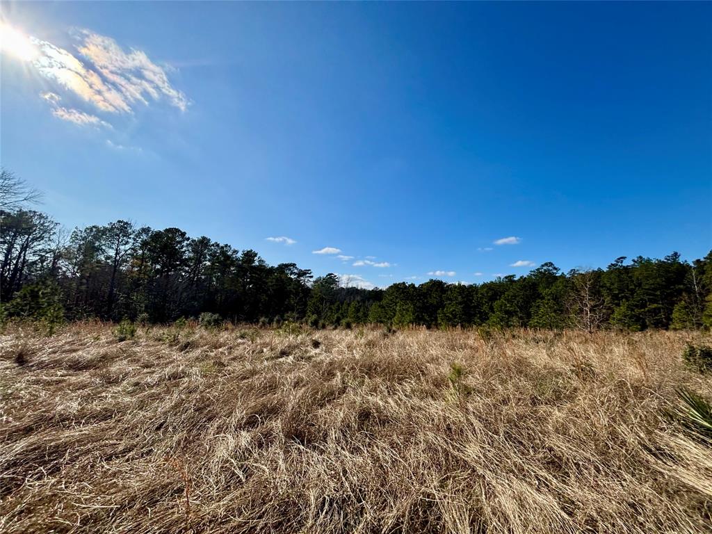 TBD 20+/- Acres Hwy 190 East, Woodville, Texas image 25