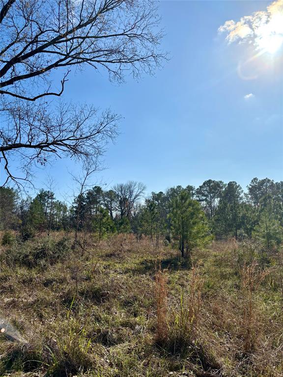 TBD 20+/- Acres Hwy 190 East, Woodville, Texas image 16