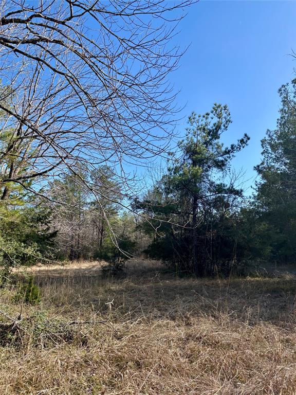 TBD 20+/- Acres Hwy 190 East, Woodville, Texas image 21