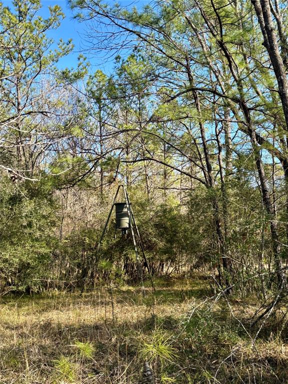 TBD 20+/- Acres Hwy 190 East, Woodville, Texas image 20