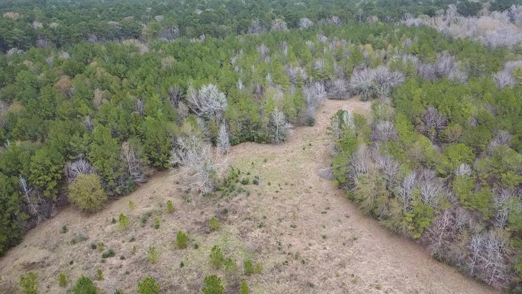 TBD 20+/- Acres Hwy 190 East, Woodville, Texas image 3