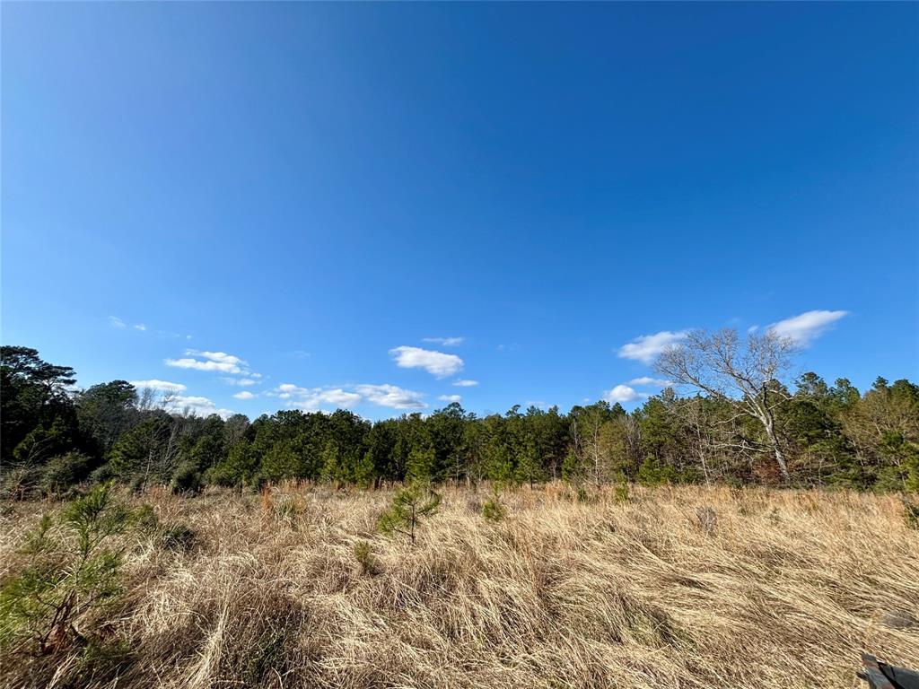 TBD 20+/- Acres Hwy 190 East, Woodville, Texas image 13