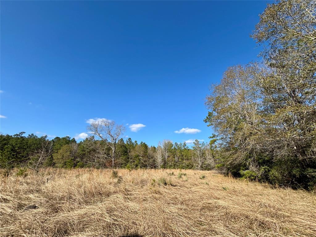 TBD 20+/- Acres Hwy 190 East, Woodville, Texas image 11