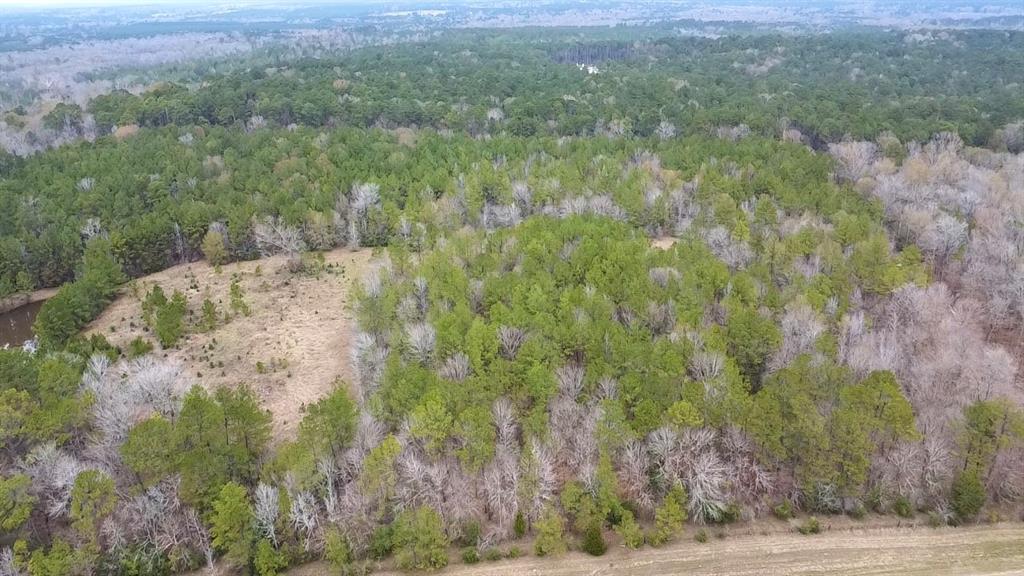 TBD 20+/- Acres Hwy 190 East, Woodville, Texas image 1