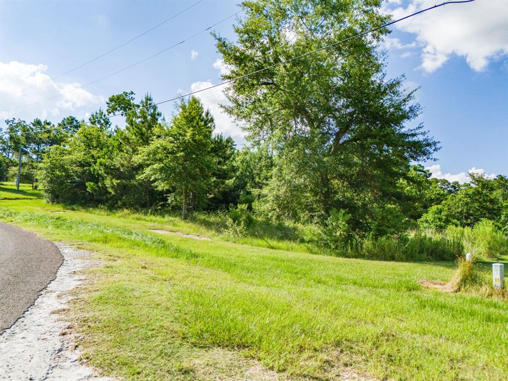 TBD Creeklake Drive, Onalaska, Texas image 12