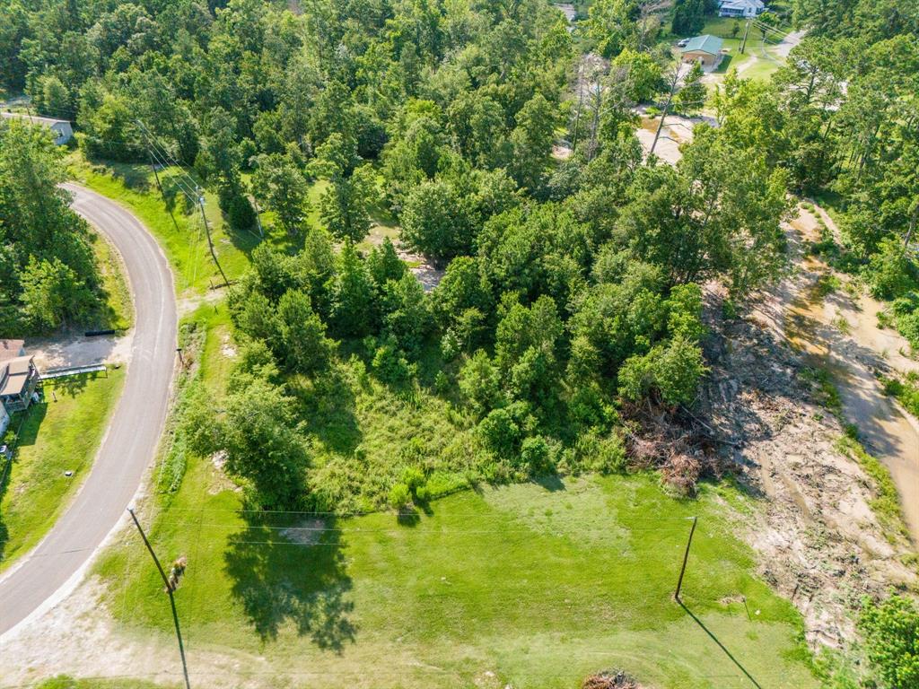 TBD Creeklake Drive, Onalaska, Texas image 3