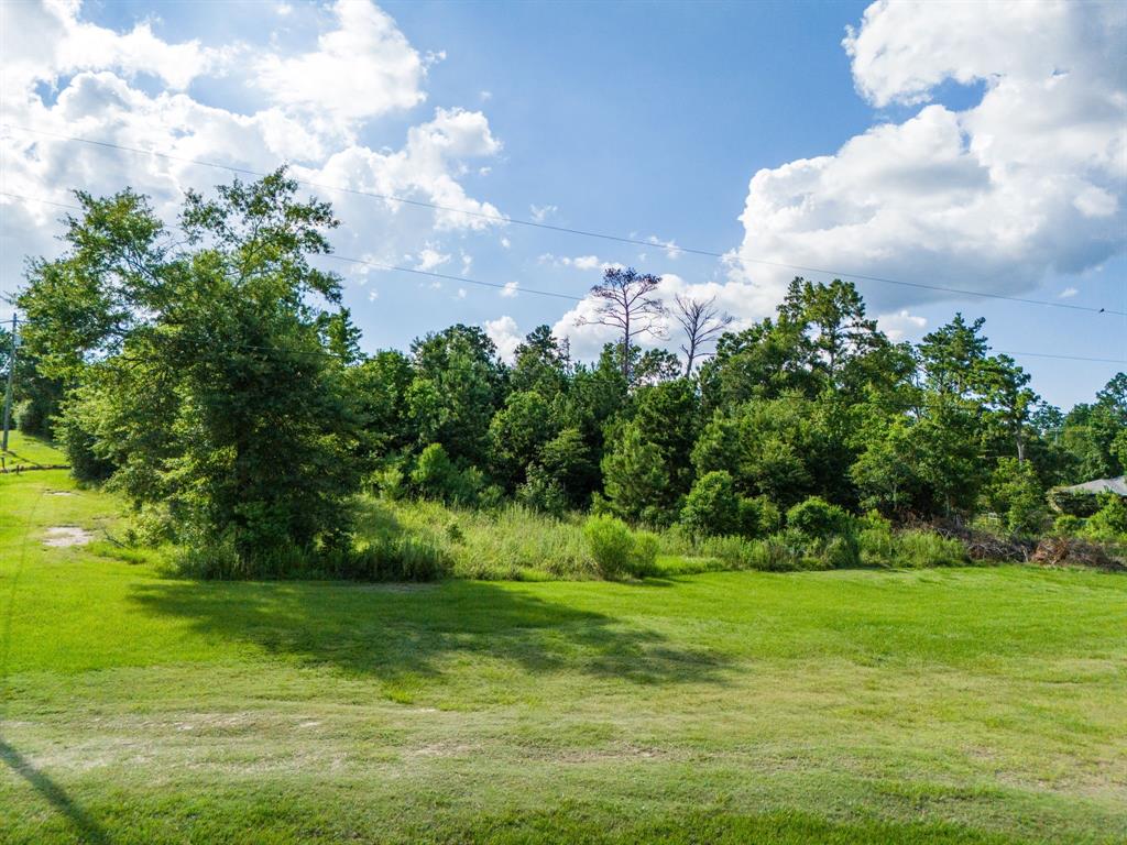 TBD Creeklake Drive, Onalaska, Texas image 2