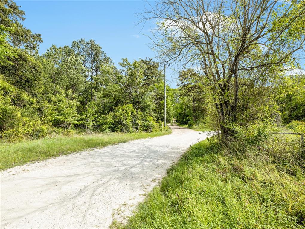 TBD Angus Ranch Rd Road, Huntsville, Texas image 17