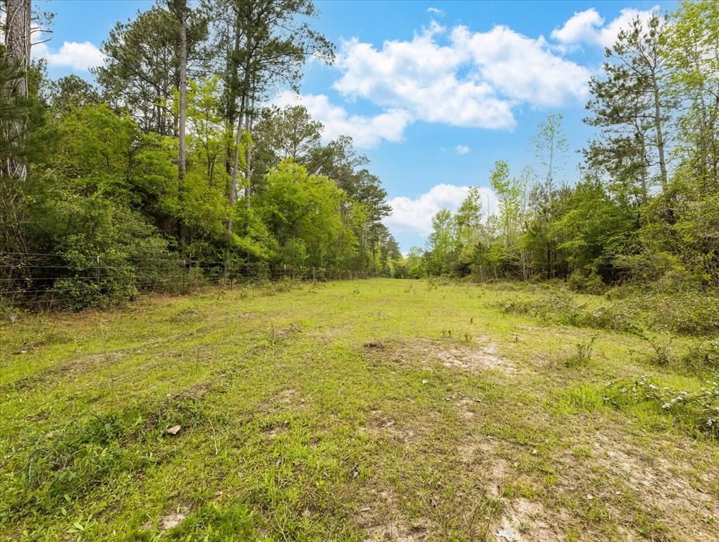 TBD Angus Ranch Rd Road, Huntsville, Texas image 38