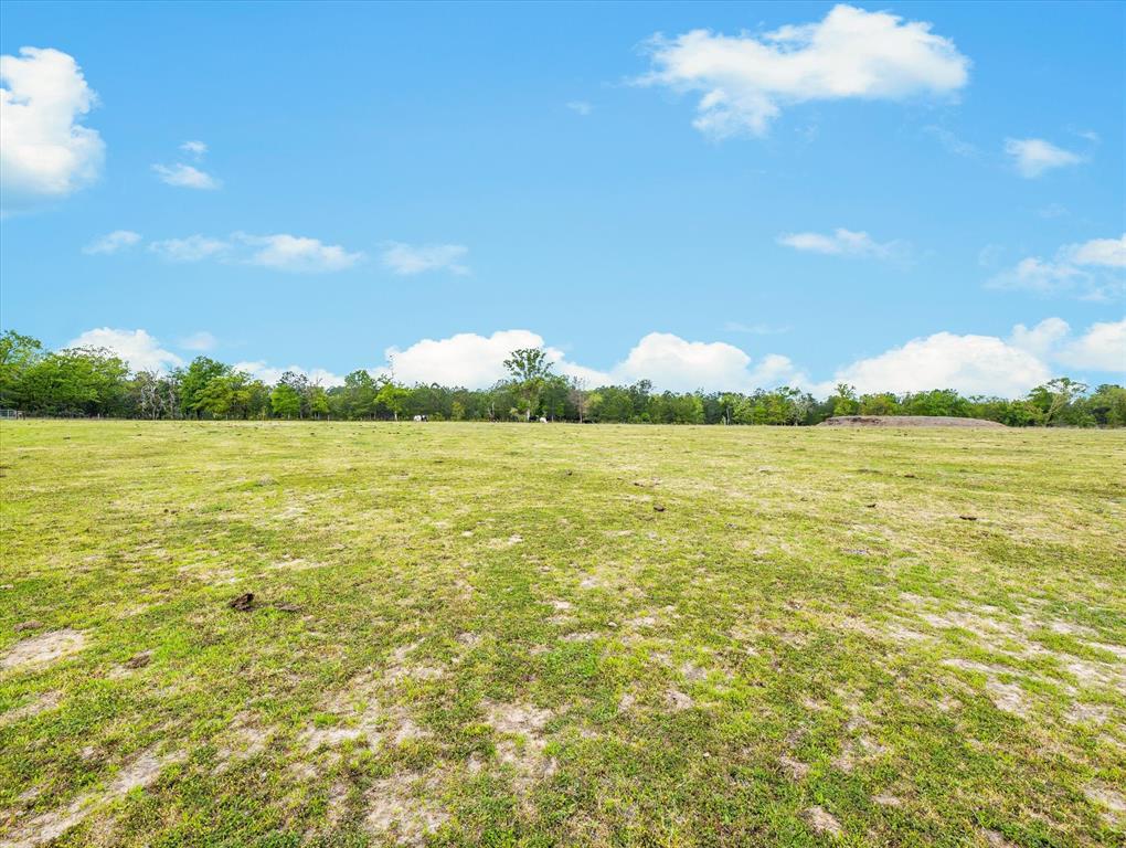 TBD Angus Ranch Rd Road, Huntsville, Texas image 8