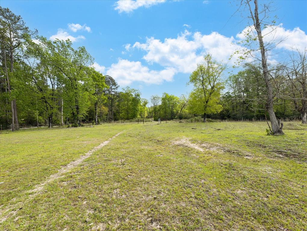 TBD Angus Ranch Rd Road, Huntsville, Texas image 36