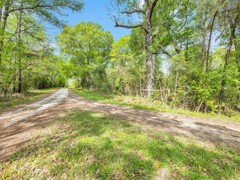 TBD Angus Ranch Rd Road, Huntsville, Texas image 20