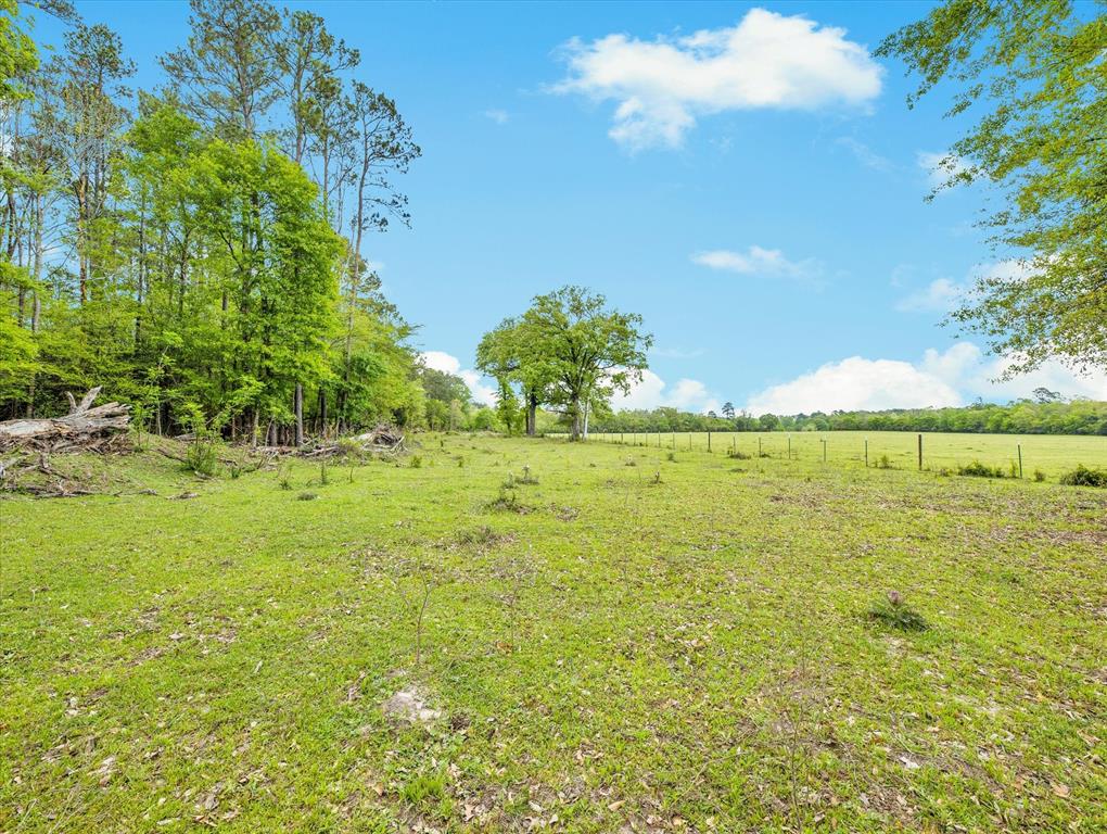 TBD Angus Ranch Rd Road, Huntsville, Texas image 12