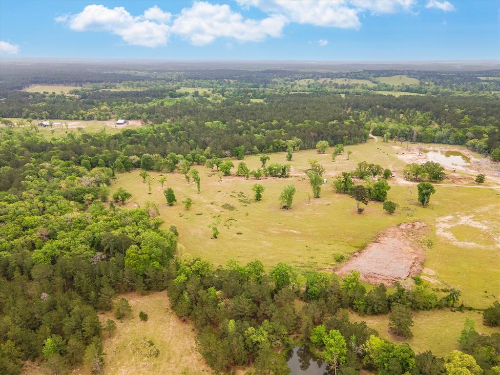 TBD Angus Ranch Rd Road, Huntsville, Texas image 6