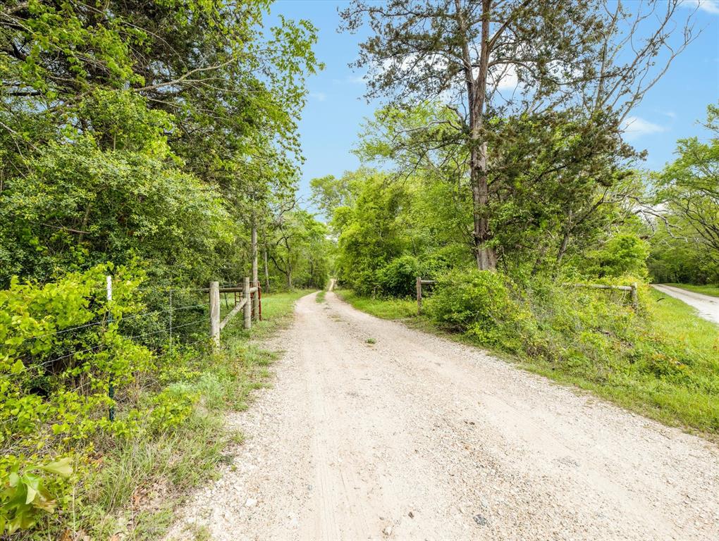 TBD Angus Ranch Rd Road, Huntsville, Texas image 16