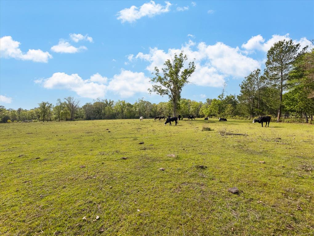 TBD Angus Ranch Rd Road, Huntsville, Texas image 31