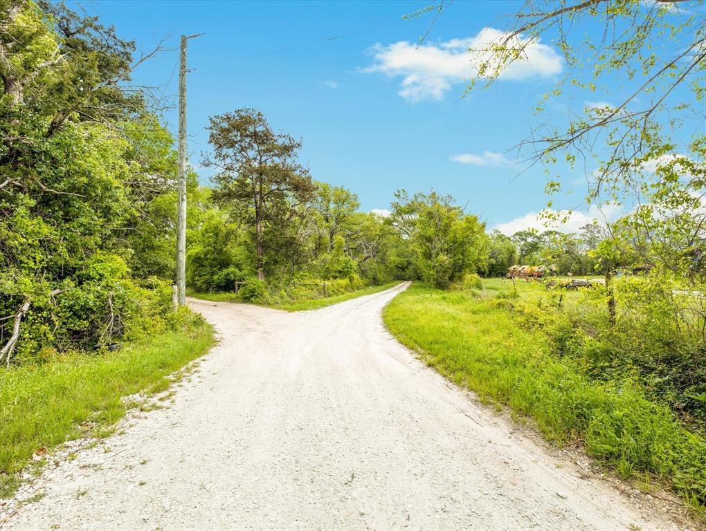 TBD Angus Ranch Rd Road, Huntsville, Texas image 15