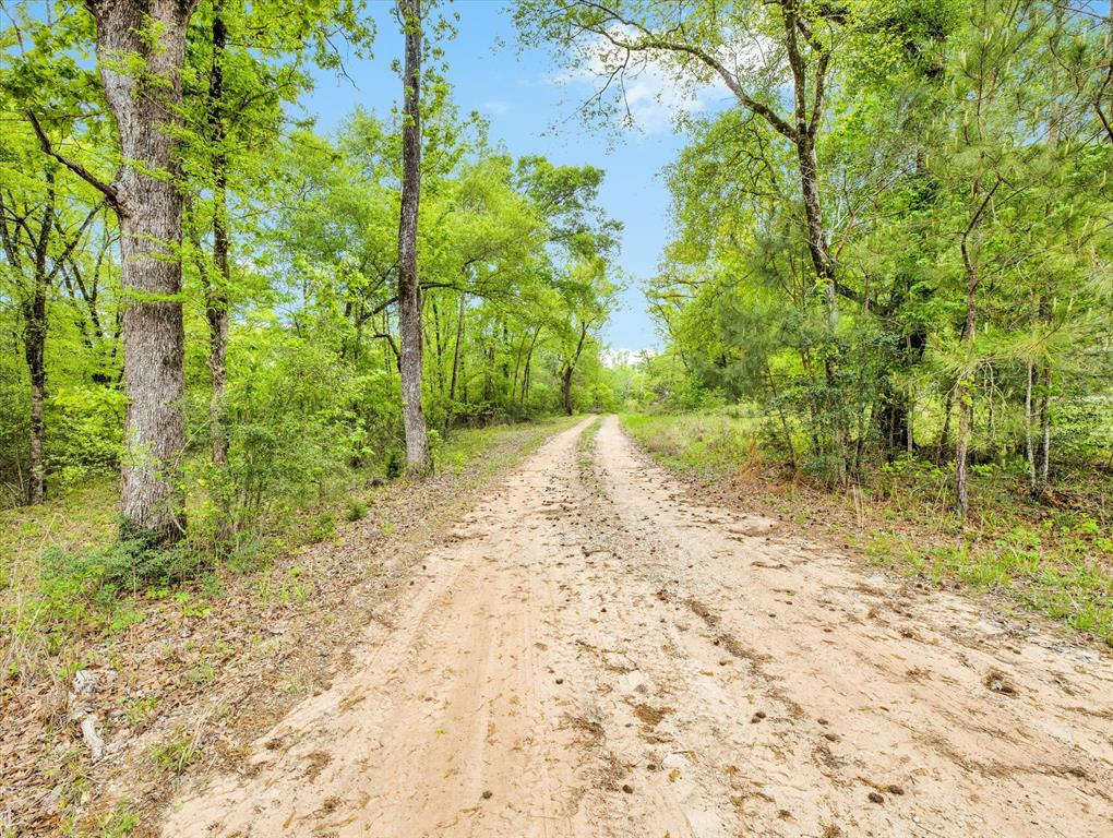 TBD Angus Ranch Rd Road, Huntsville, Texas image 1