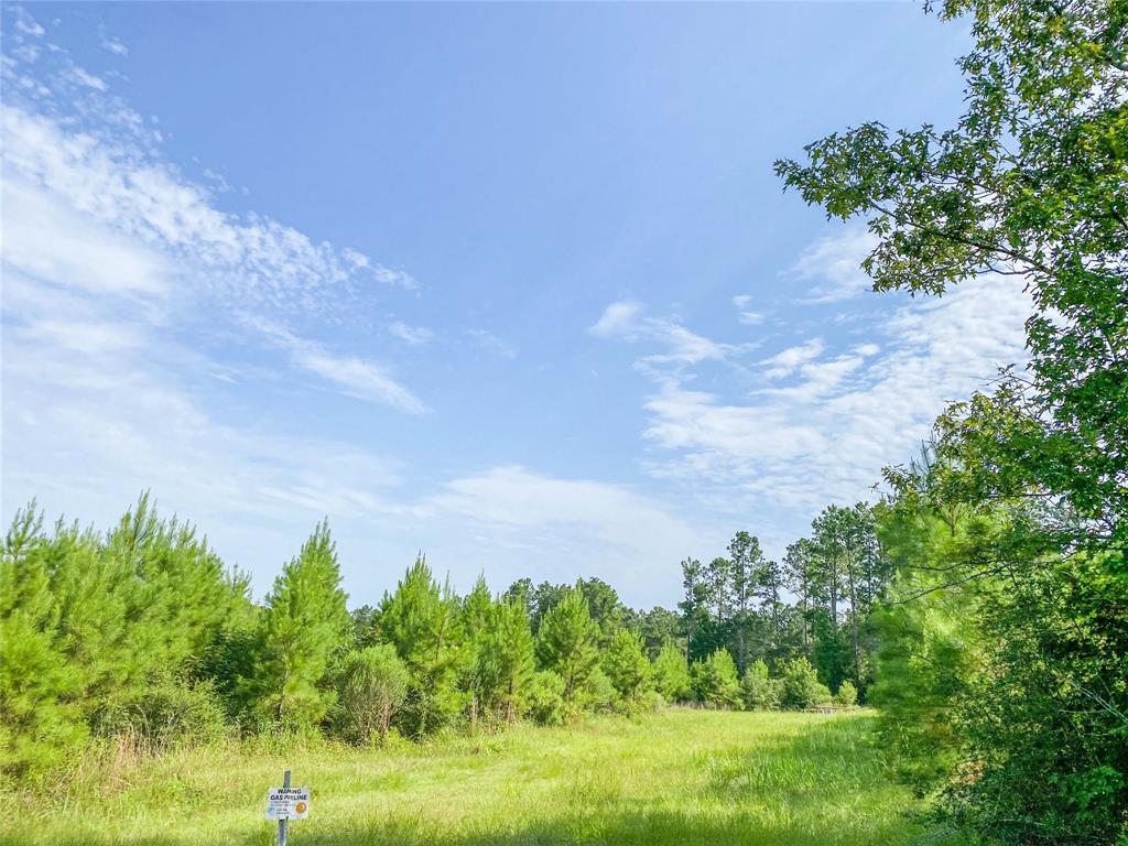 Jimbo Nettles Rd, Livingston, Texas image 5