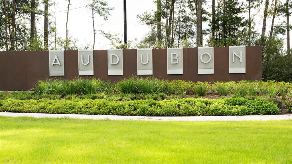 15690 Audubon Park Drive, Magnolia, Texas image 3