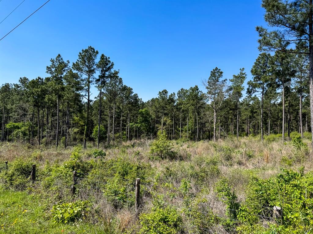 TBD Guerrant Road, Huntsville, Texas image 10