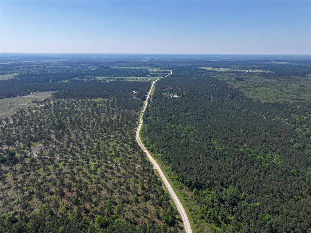 TBD Guerrant Road, Huntsville, Texas image 18