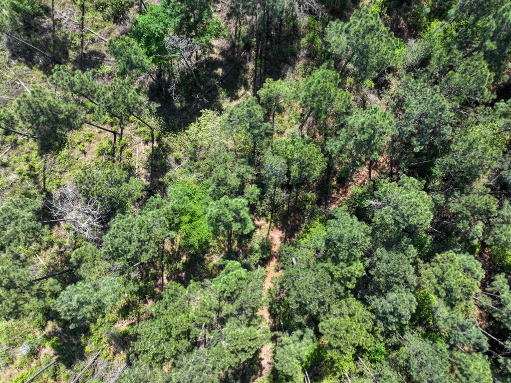 TBD Guerrant Road, Huntsville, Texas image 21