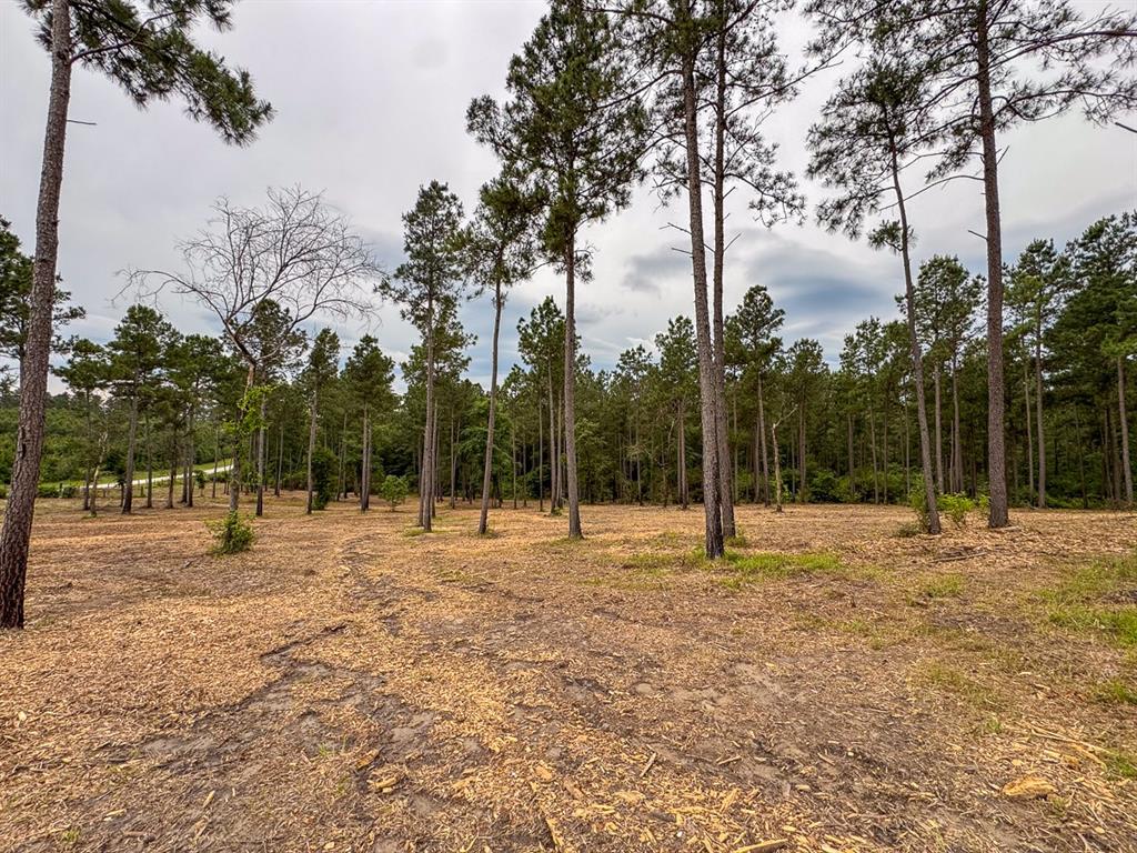 TBD Guerrant Road, Huntsville, Texas image 9
