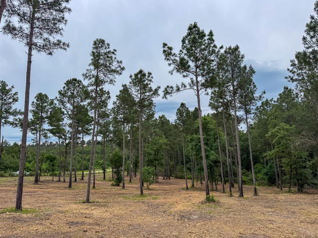 TBD Guerrant Road, Huntsville, Texas image 11