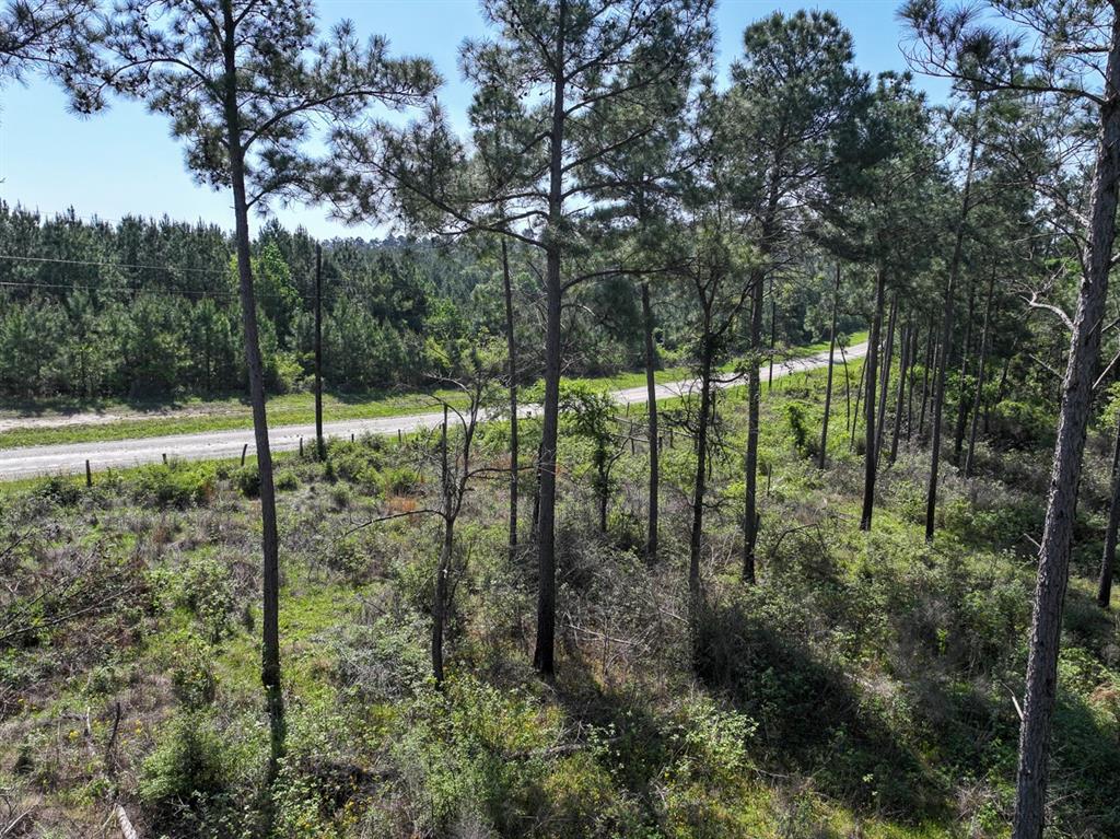 TBD Guerrant Road, Huntsville, Texas image 19