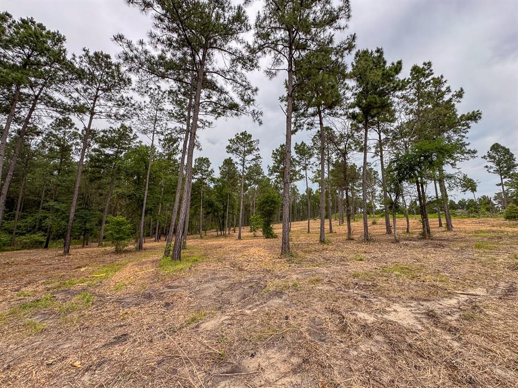 TBD Guerrant Road, Huntsville, Texas image 5