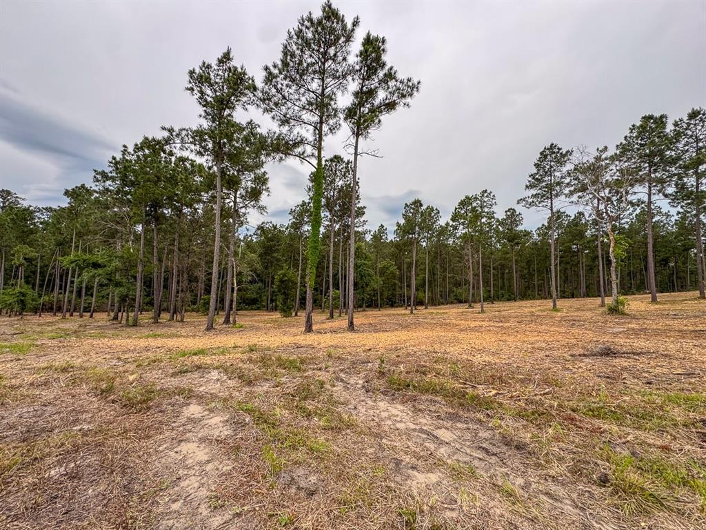 TBD Guerrant Road, Huntsville, Texas image 6