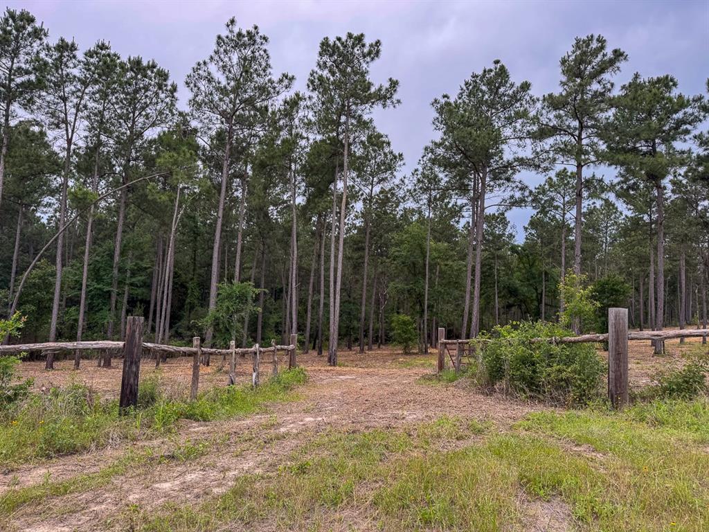 TBD Guerrant Road, Huntsville, Texas image 4