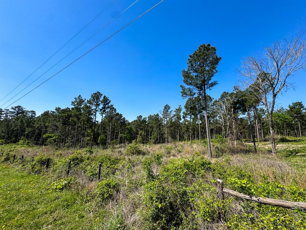 TBD Guerrant Road, Huntsville, Texas image 9