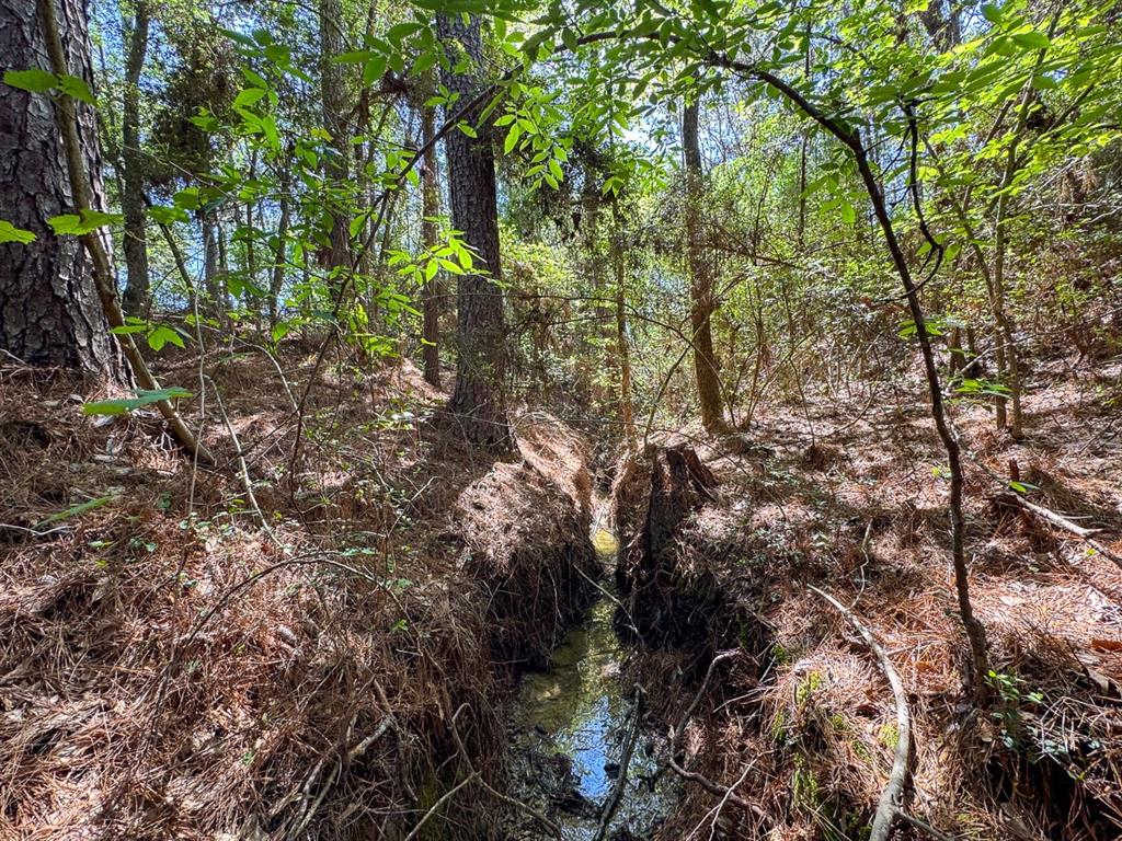 TBD Guerrant Road, Huntsville, Texas image 3