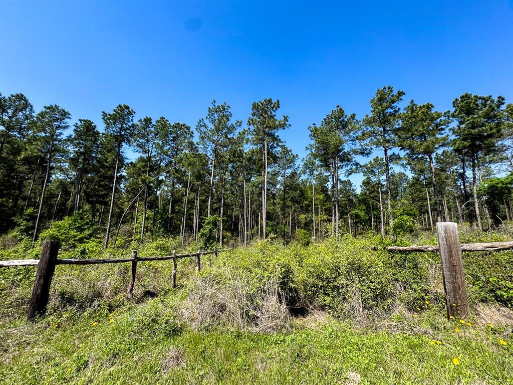 TBD Guerrant Road, Huntsville, Texas image 13